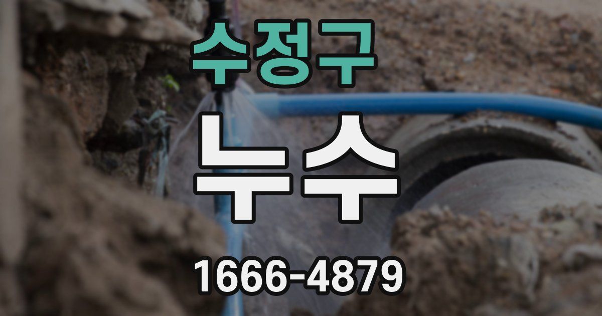 수정구 누수