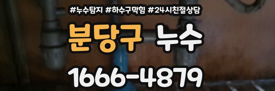 분당구 누수