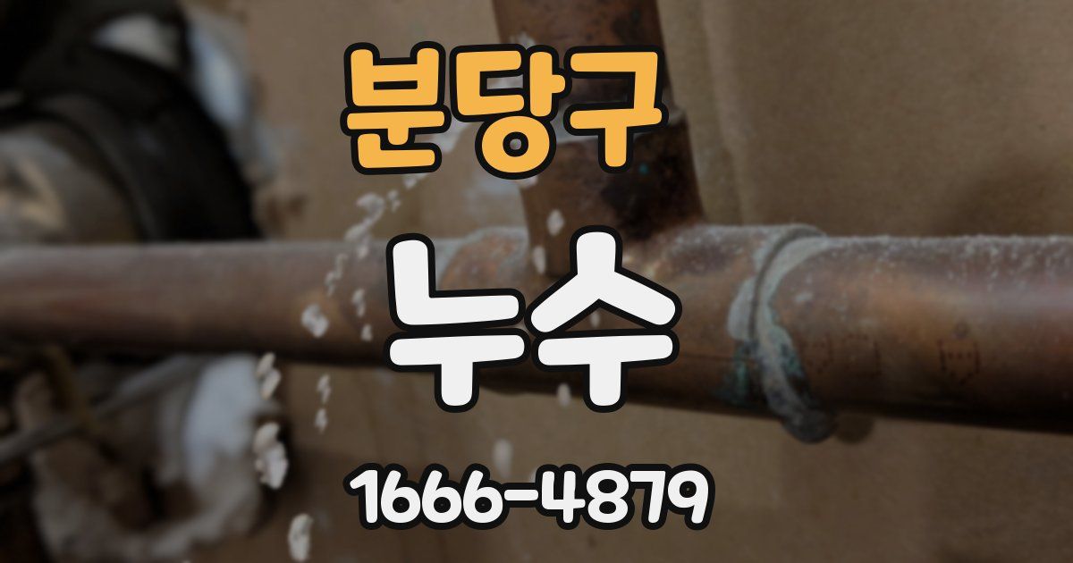 분당구 누수