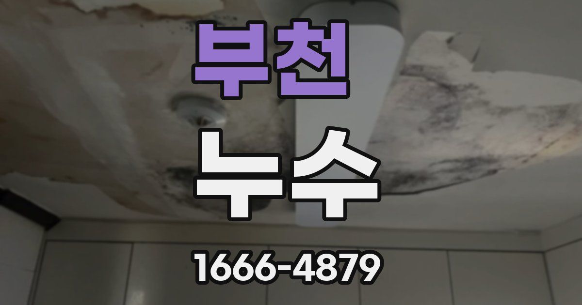부천 누수