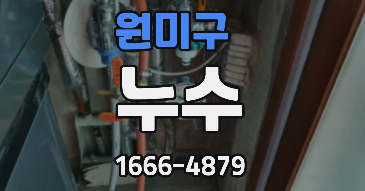 원미구 누수