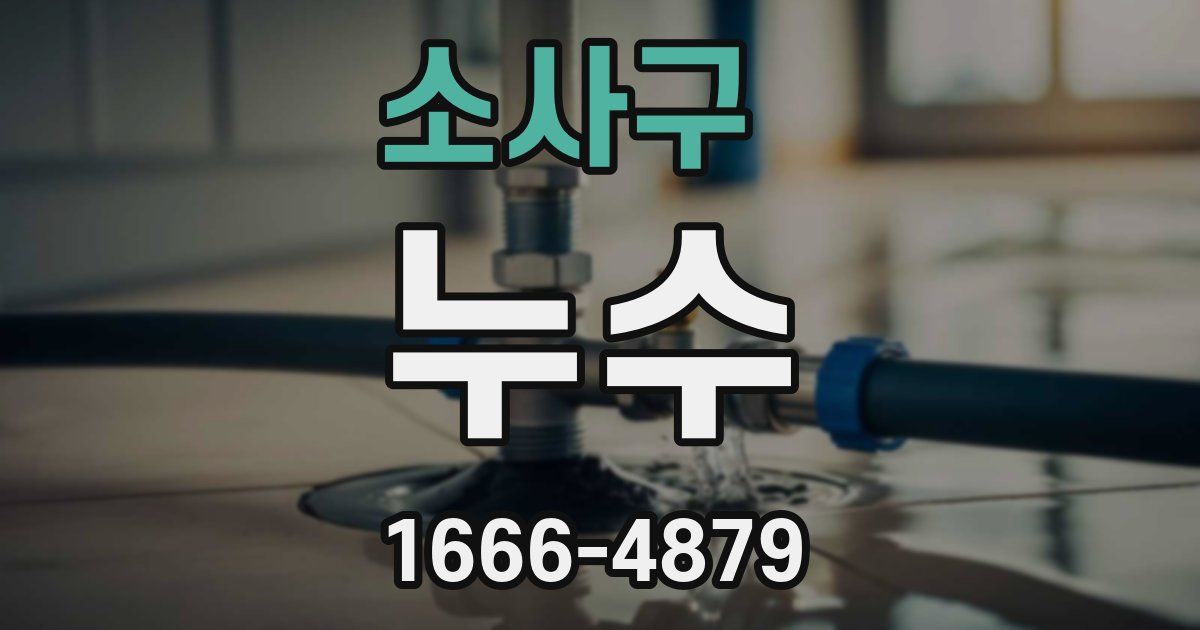 소사구 누수