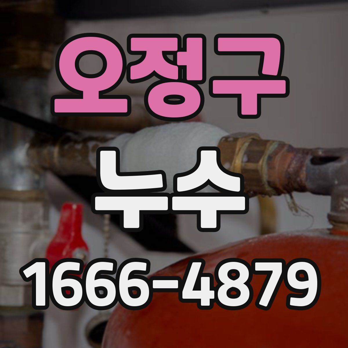오정구 누수