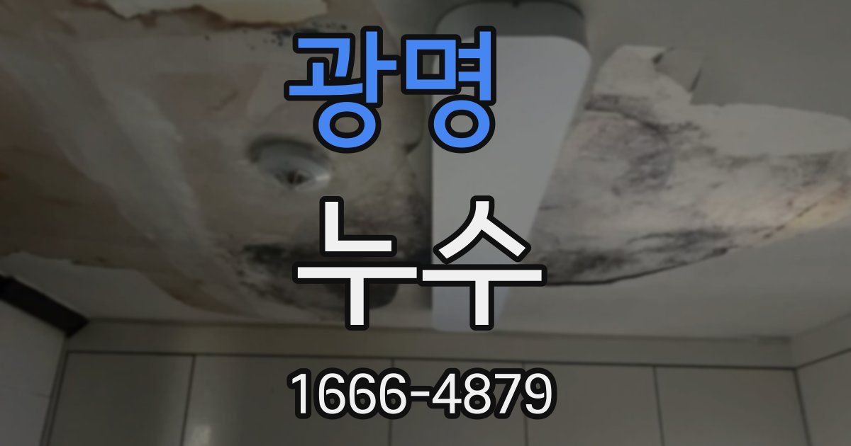 광명 누수