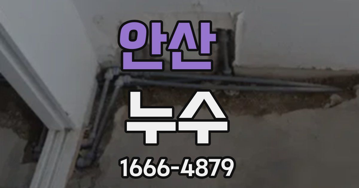 안산 누수