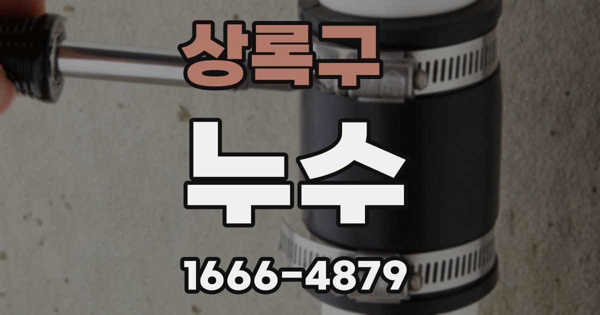 상록구 누수