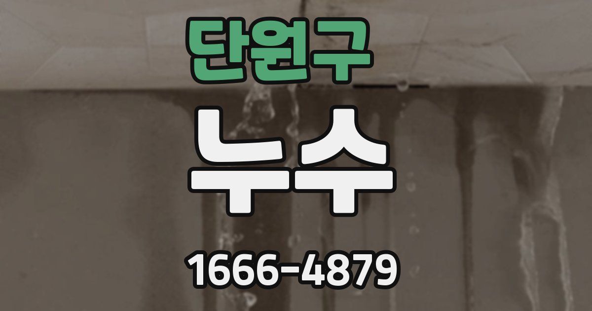 단원구 누수