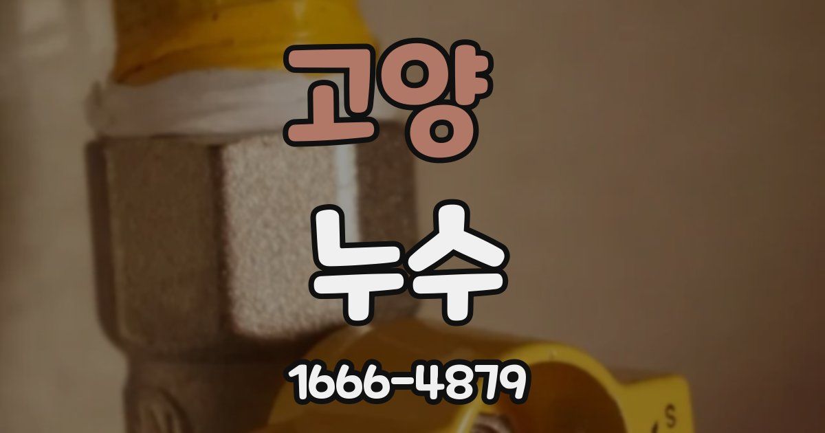 고양 누수