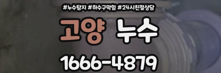 고양 누수