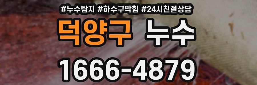 덕양구 누수