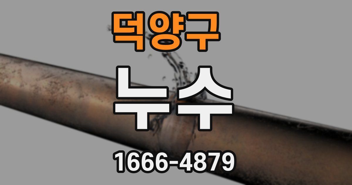 덕양구 누수