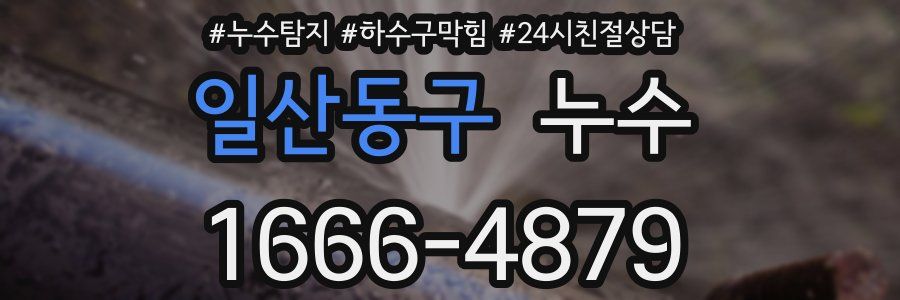 일산동구 누수