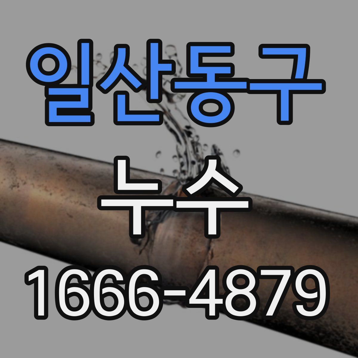 일산동구 누수