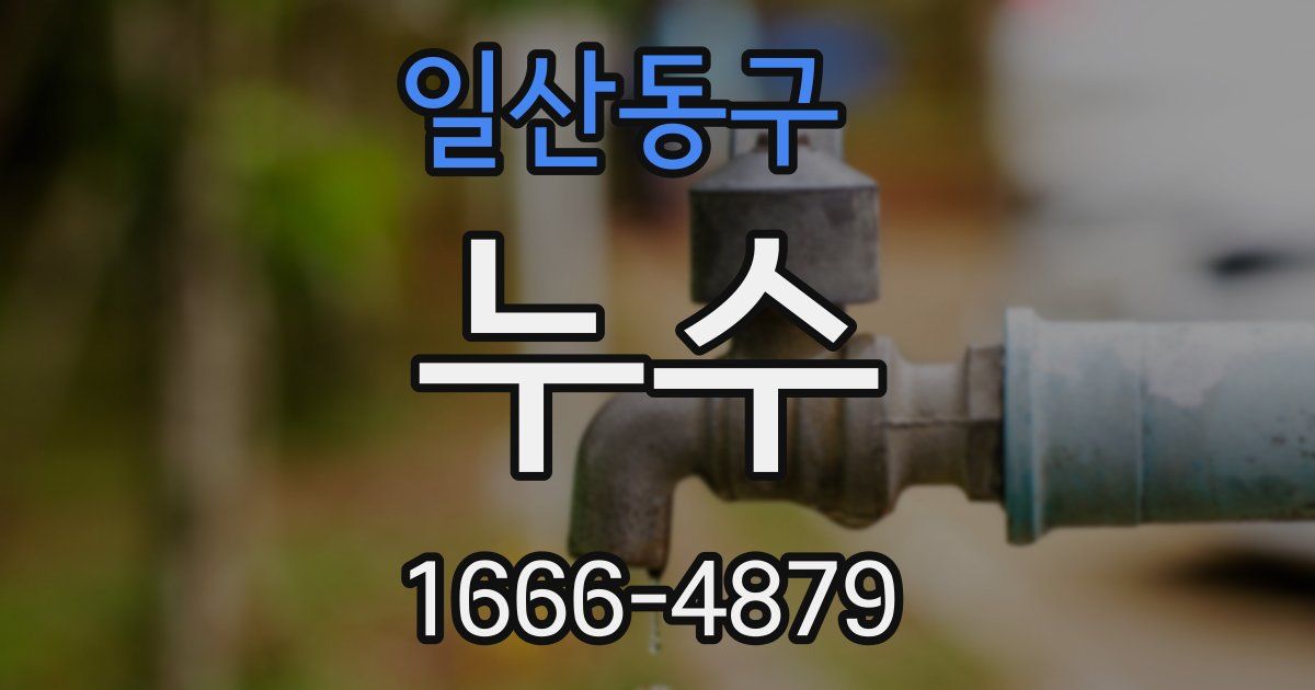 일산동구 누수