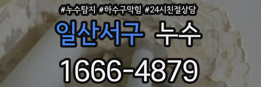 일산서구 누수