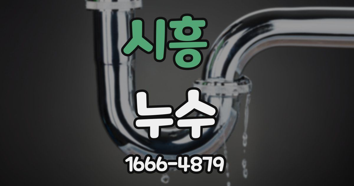 시흥 누수