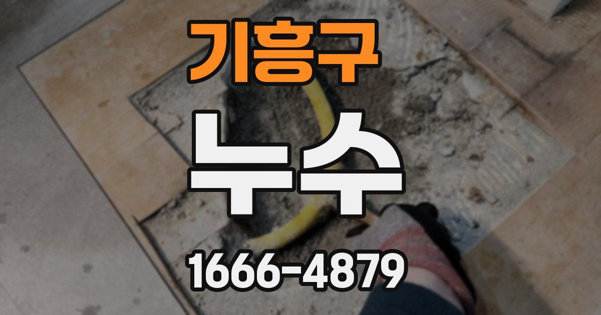 기흥구 누수