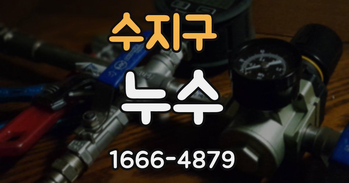 수지구 누수