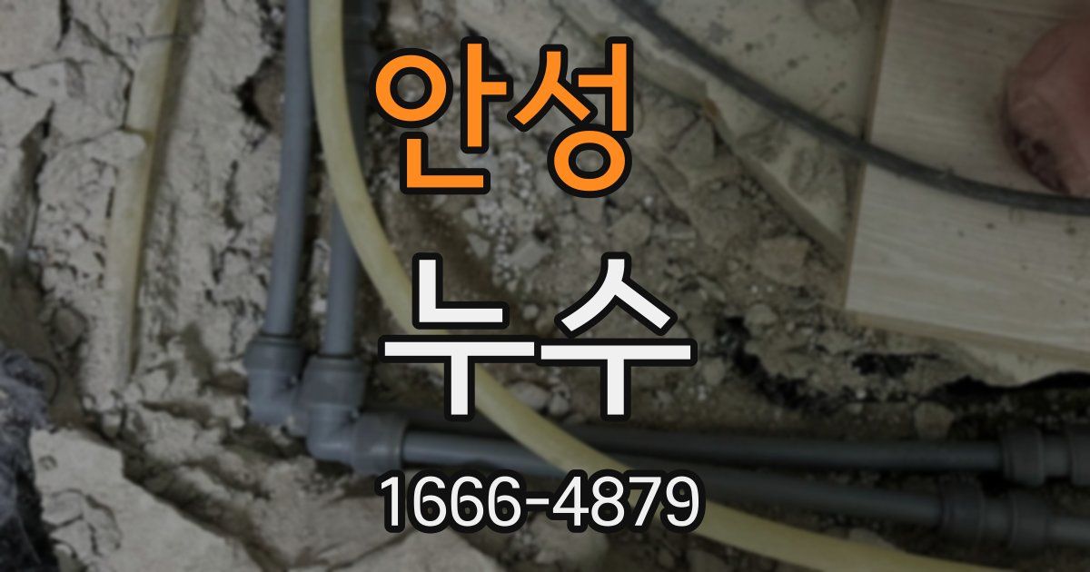 안성 누수