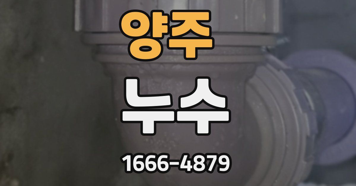 양주 누수