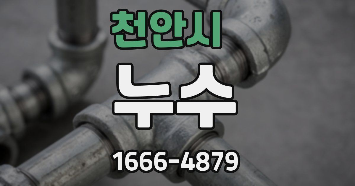 천안시 누수