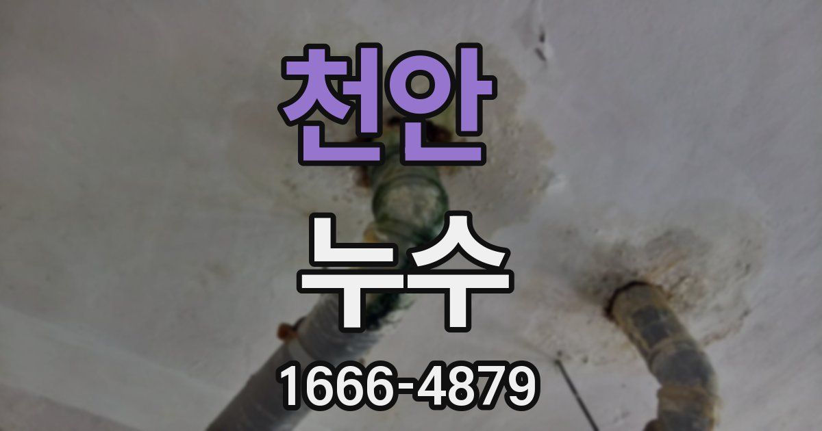 천안 누수