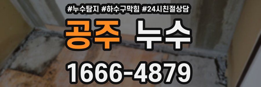 공주 누수