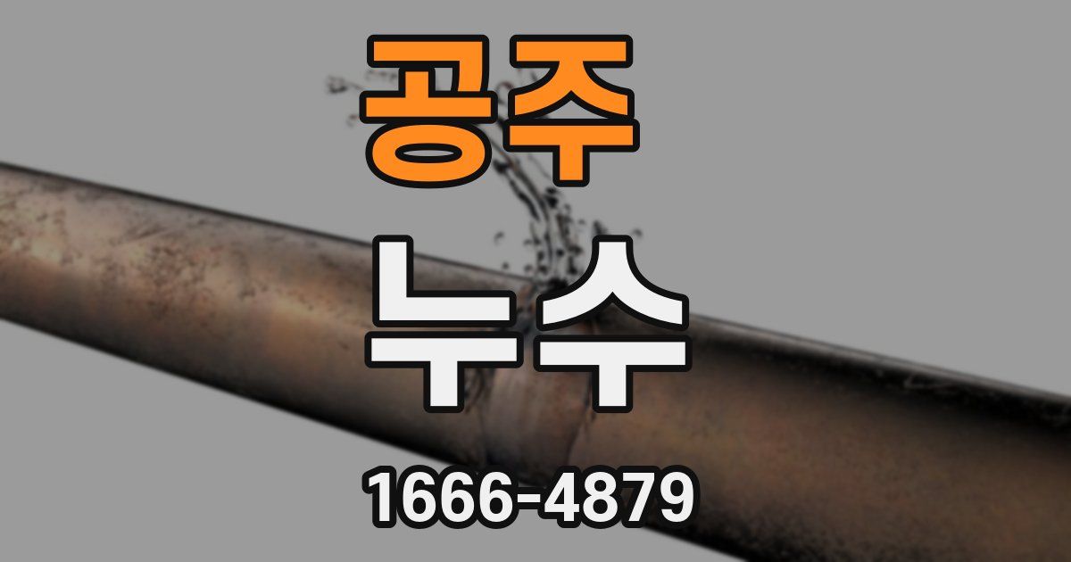 공주 누수