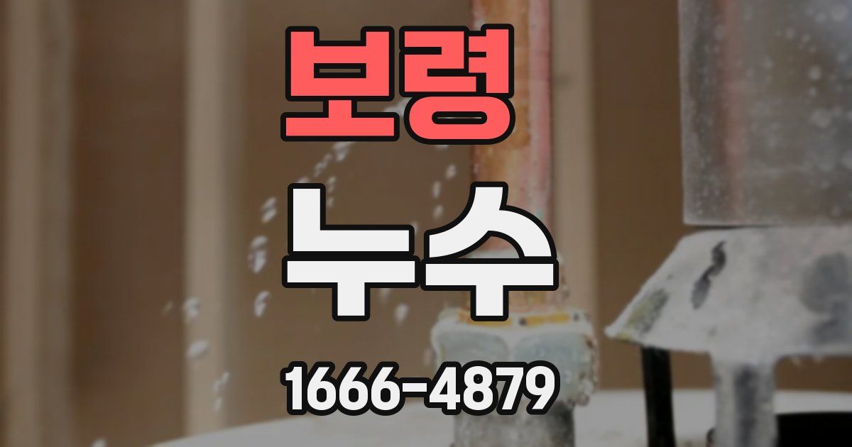 보령 누수