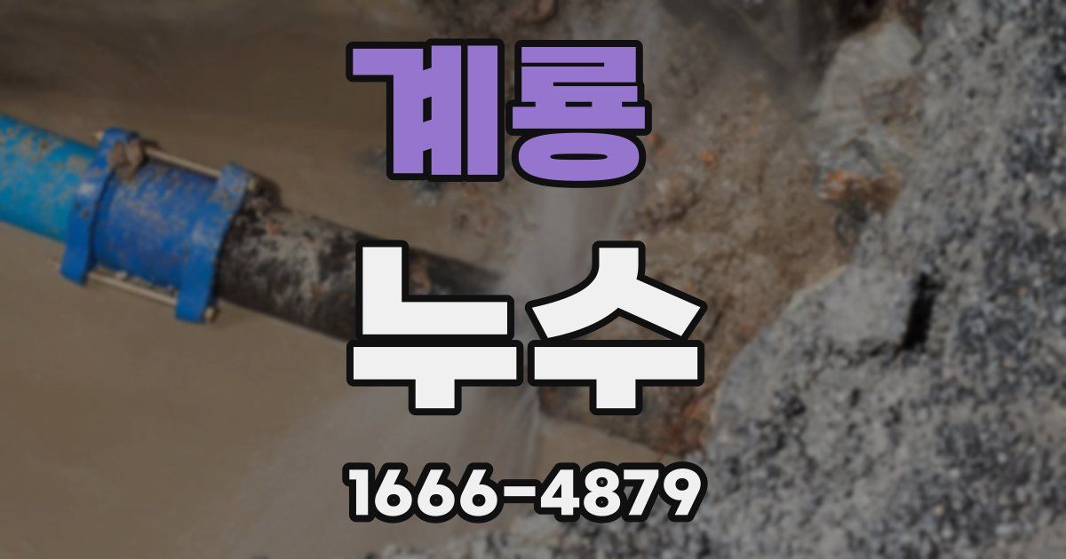 계룡 누수