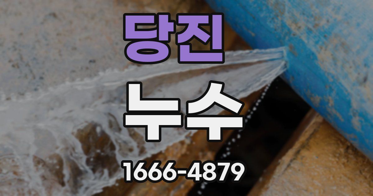 당진 누수