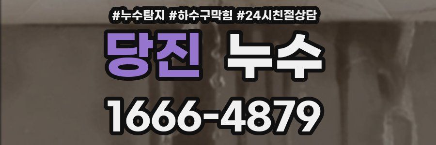 당진 누수
