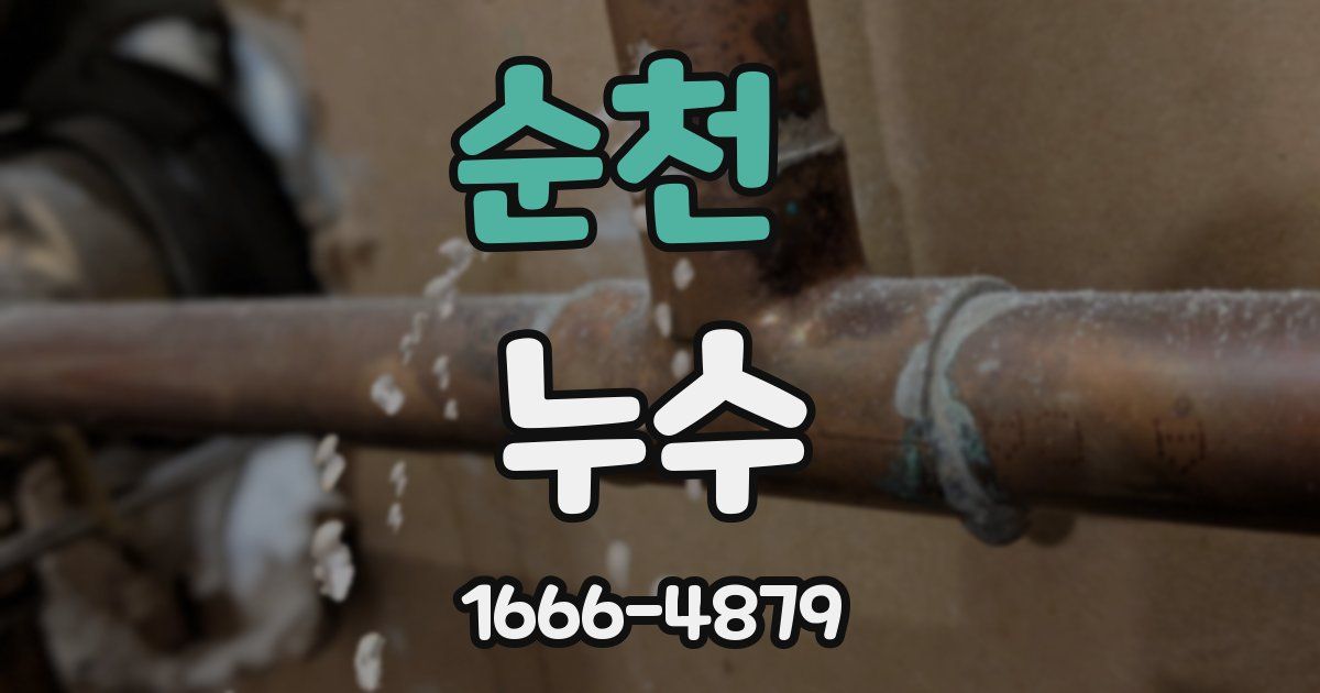 순천 누수