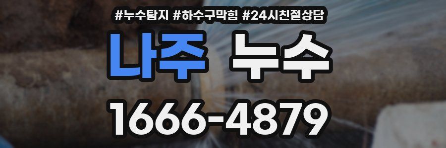 나주 누수