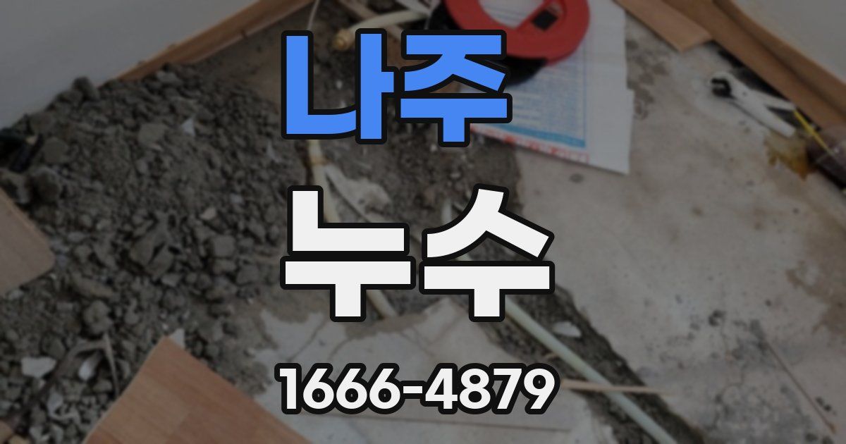 나주 누수