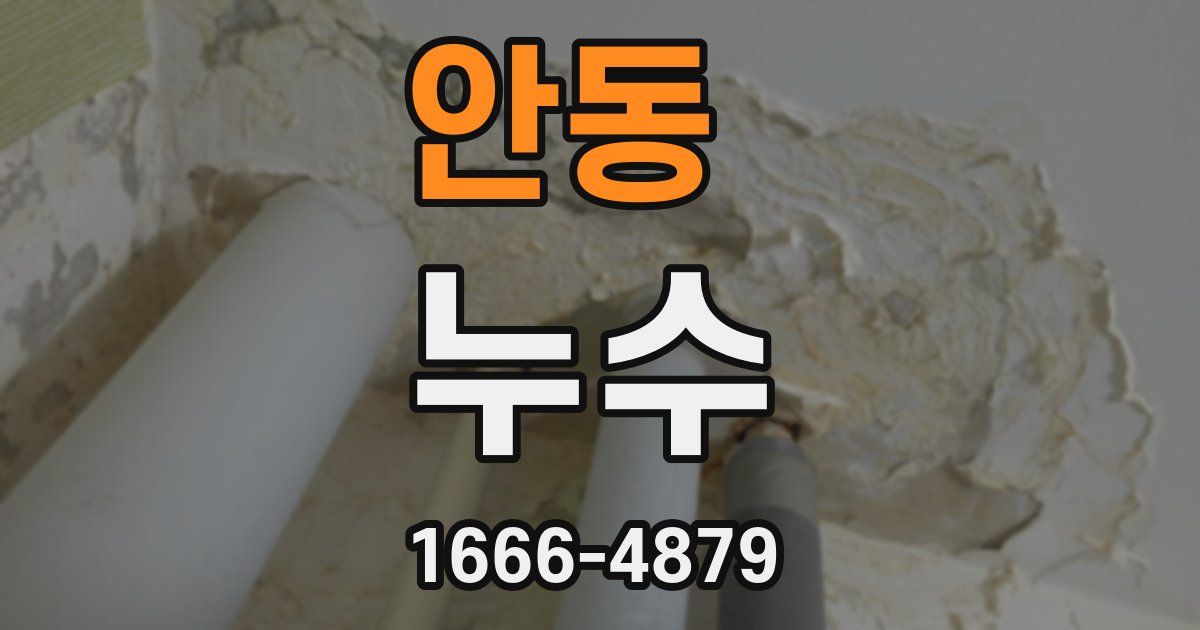안동 누수