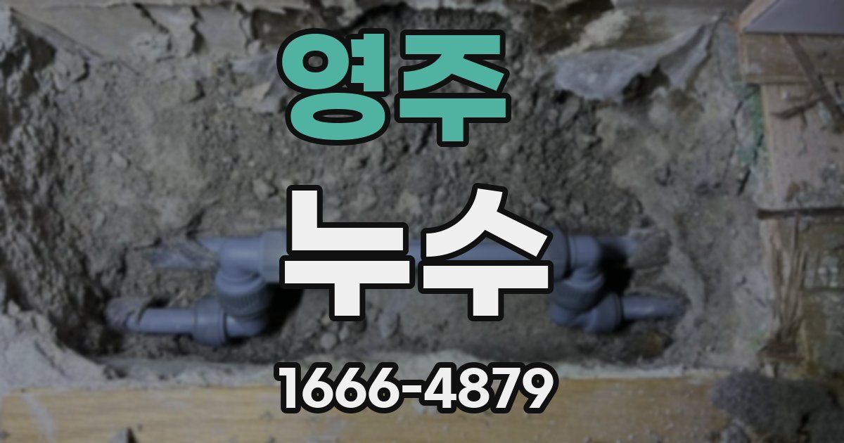 영주 누수