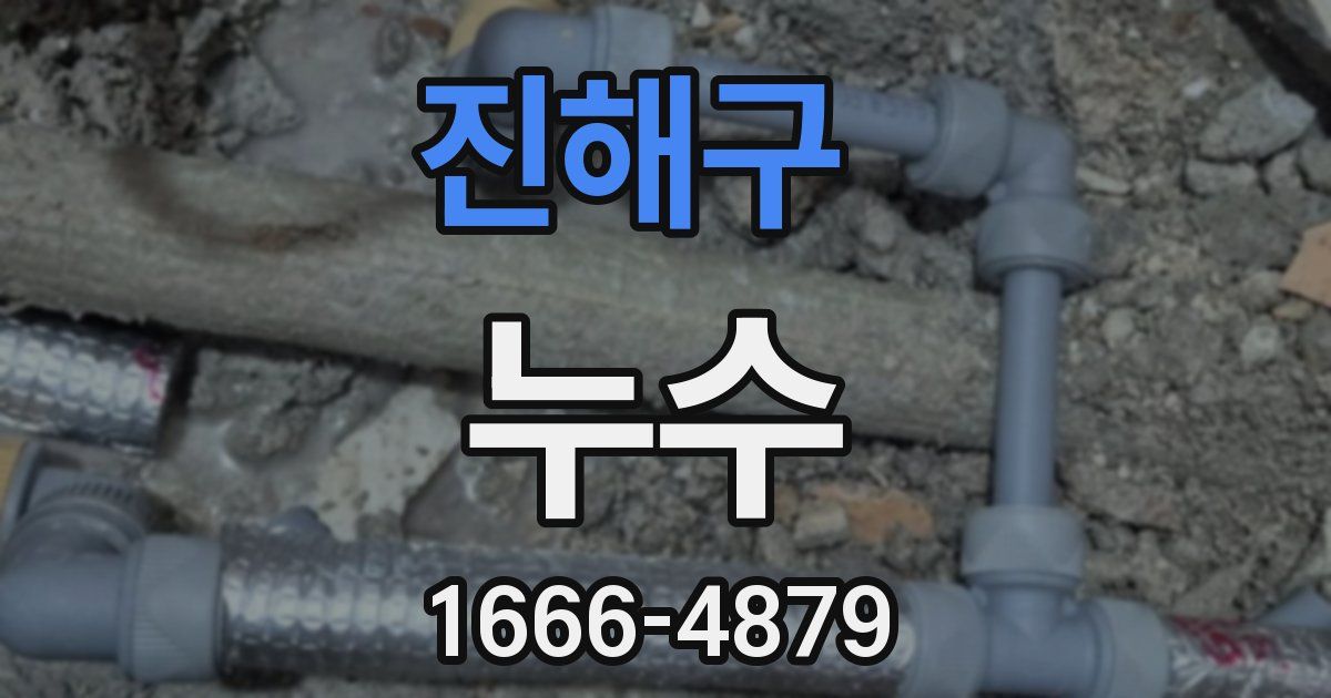 진해구 누수