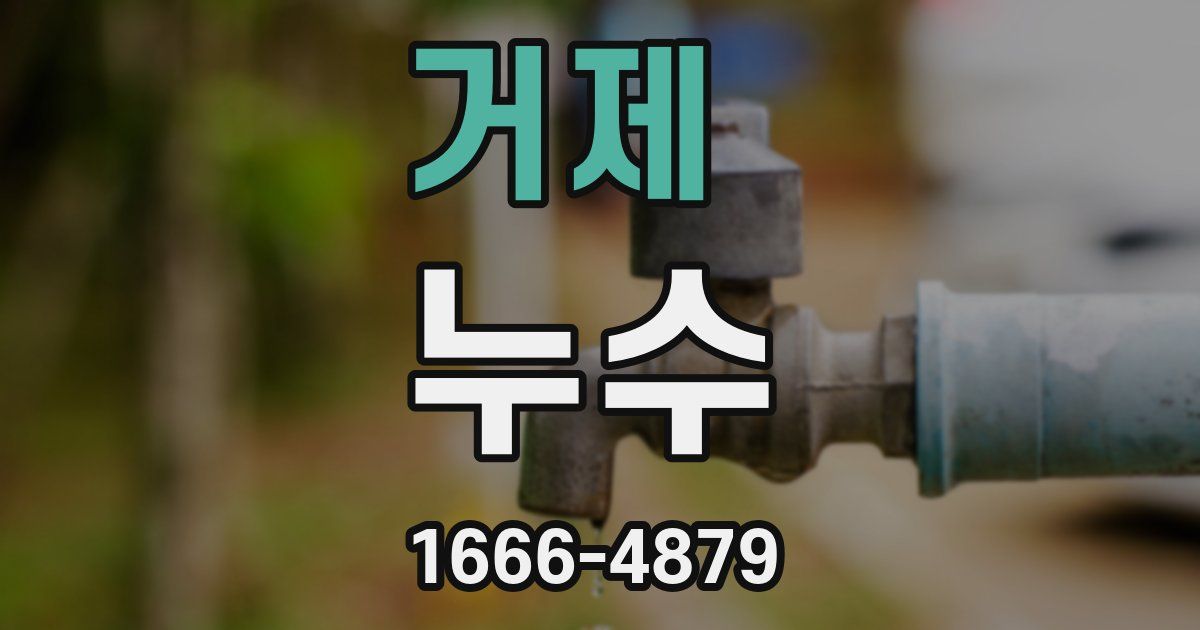 거제 누수