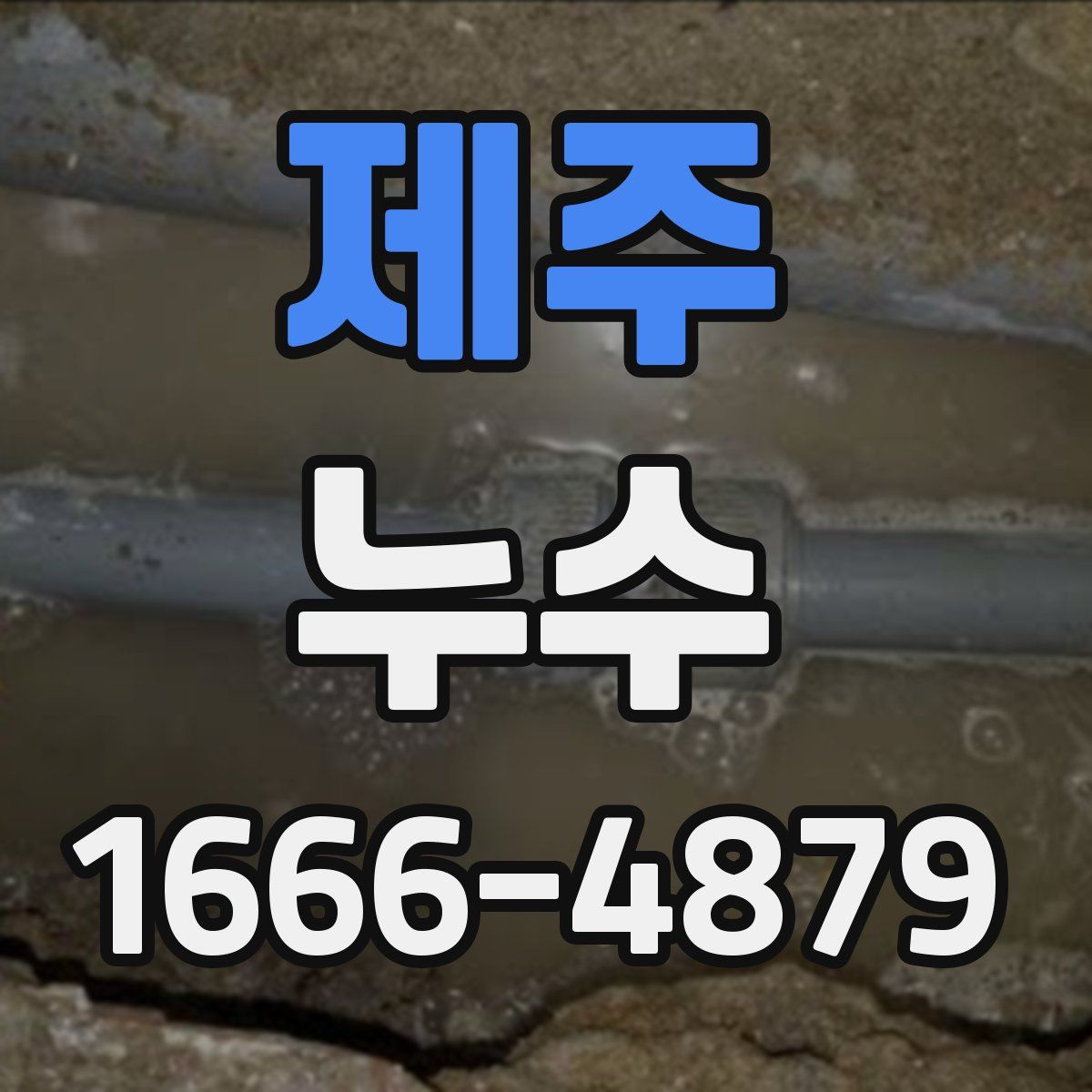 제주 누수