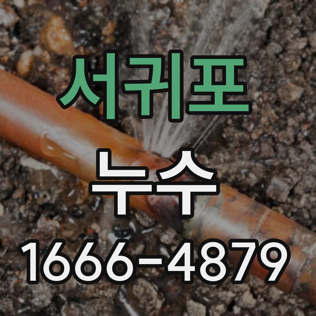 서귀포 누수