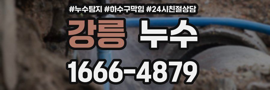 강릉 누수