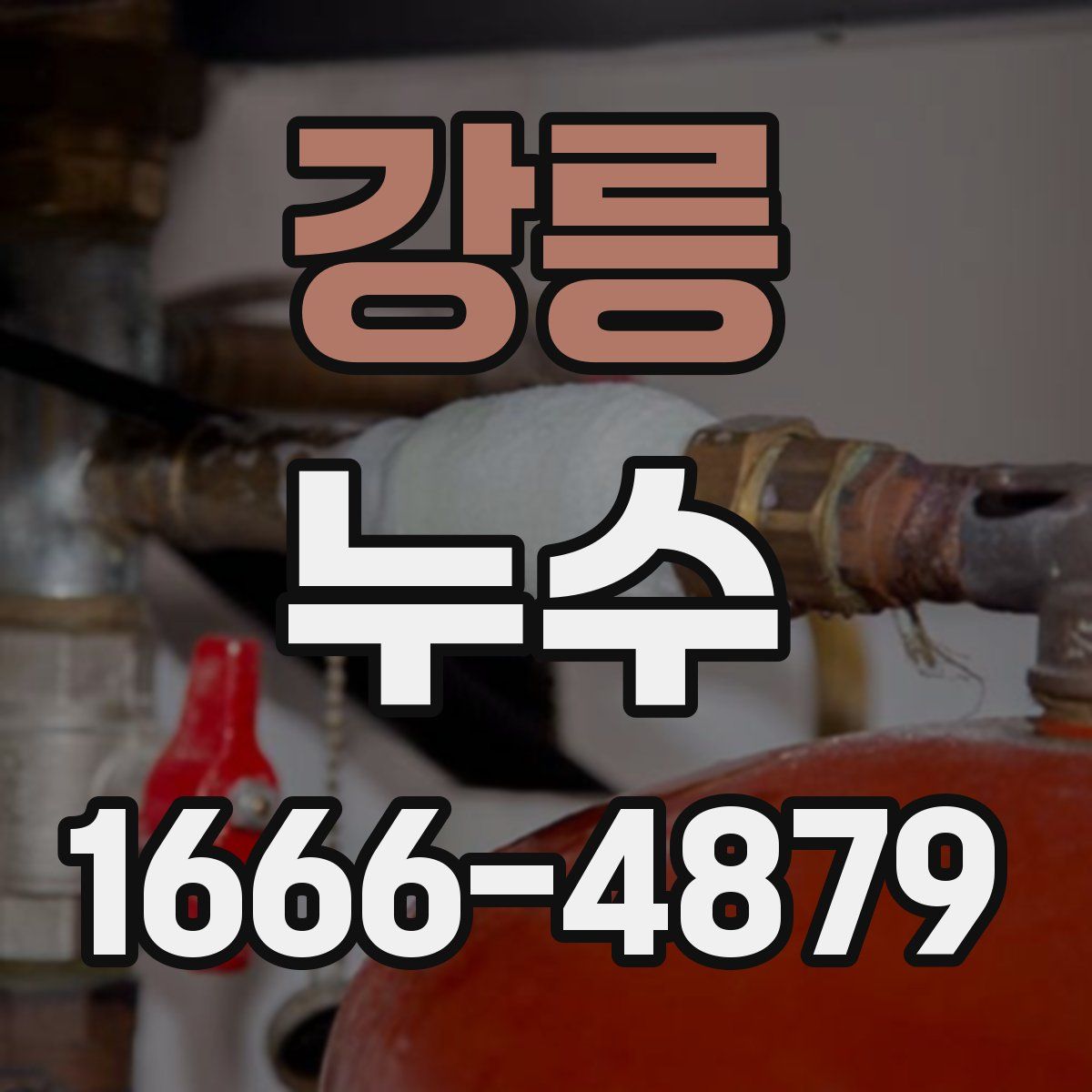 강릉 누수