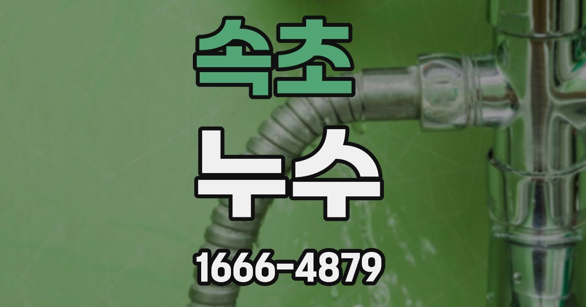 속초 누수