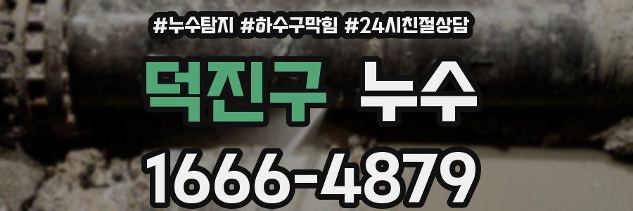 덕진구 누수