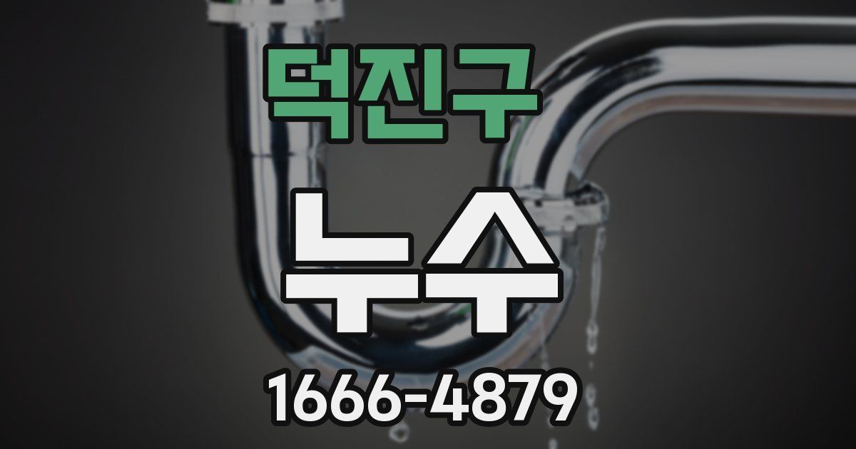 덕진구 누수