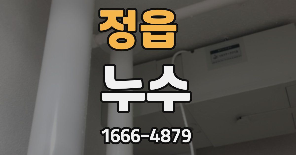 정읍 누수
