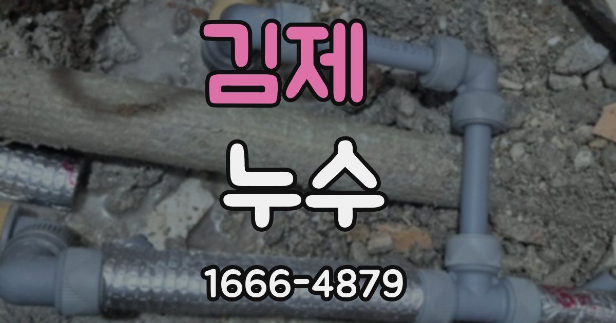 김제 누수