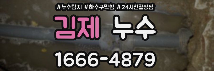김제 누수