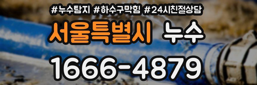 서울특별시 누수